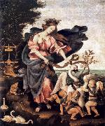 LIPPI, Filippino Allegory of Music or Erato sg oil painting picture wholesale